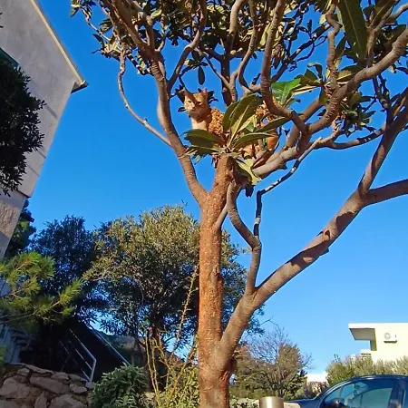 House Elka בית הארחה