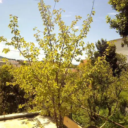 House Elka Baska Voda