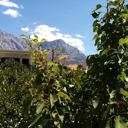 House Elka Guest house Baska Voda